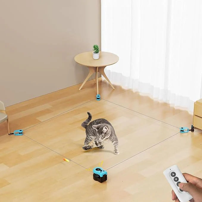 The Cat Whirl